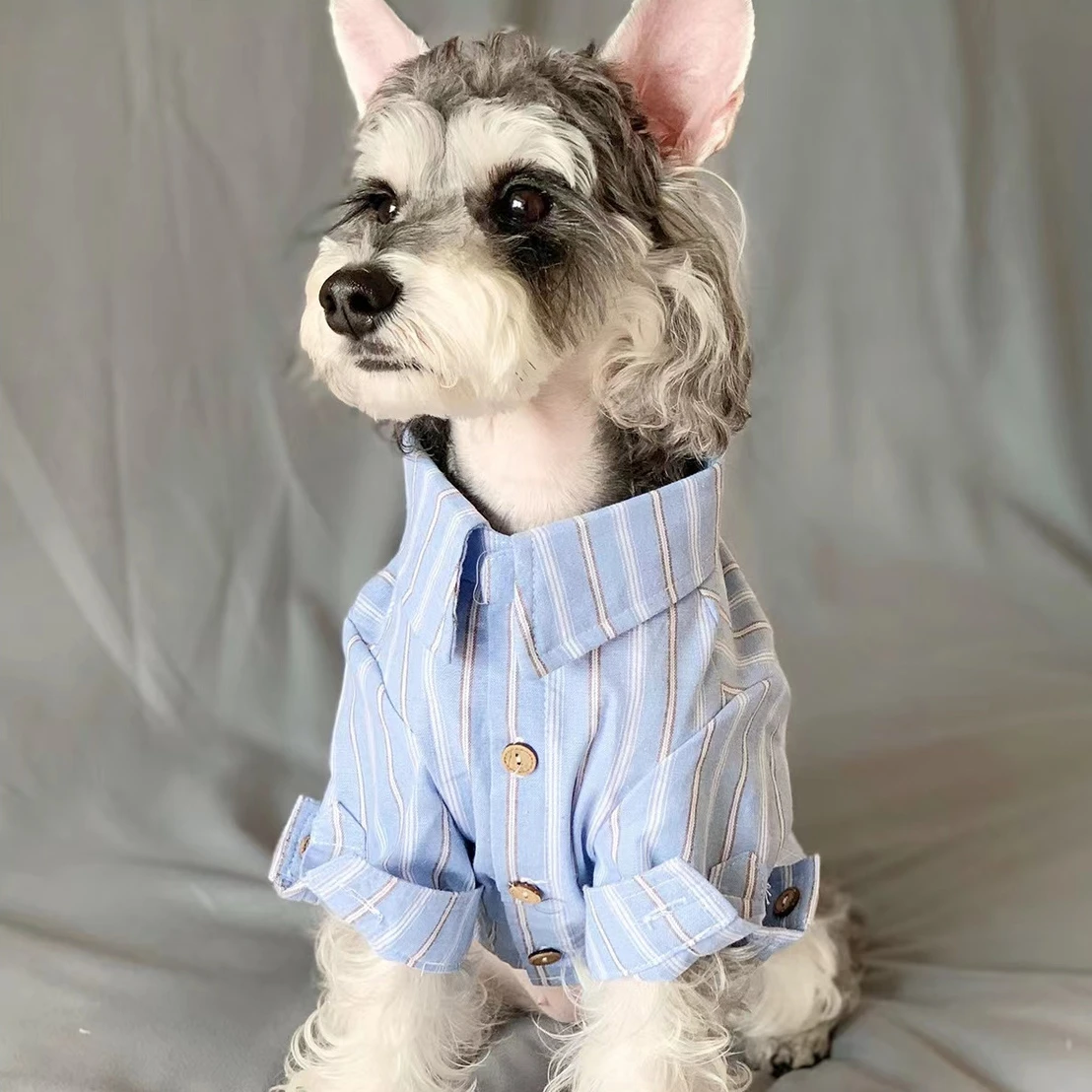 Pet Clothes Pet Puppy Cat Thin - Summer Dog Clothing のレビューと価格
