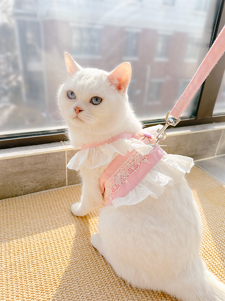 Sweet Vest Traction Rope Pet D - Summer Clothing Release のレビューと価格