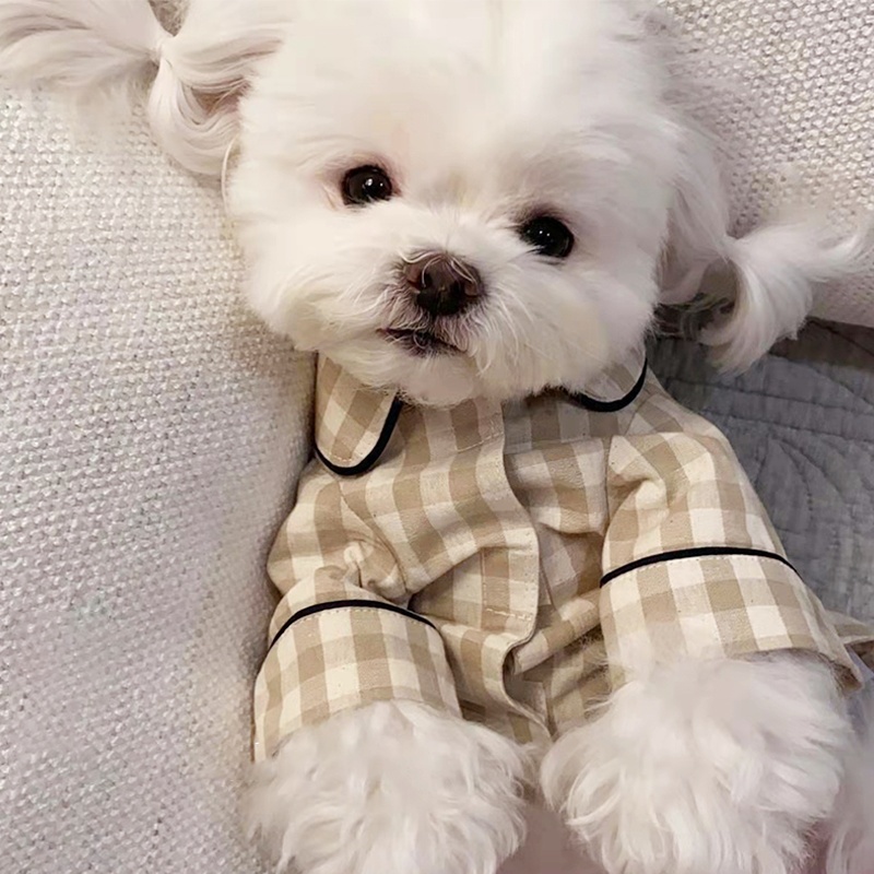 Cute Plaid Dog Shirt Summer Pe - Summer Dog Clothing のレビューと価格