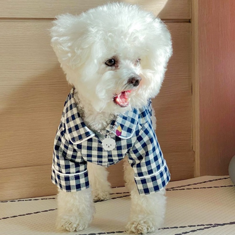 Cute Plaid Dog Shirt Summer Pe - Summer Dog Clothing のレビューと価格