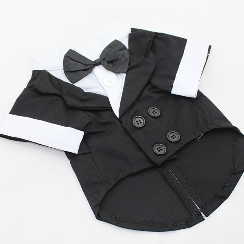 Dog Shirt Puppy Clothes, Pet W - Summer Dog Clothing のレビューと価格