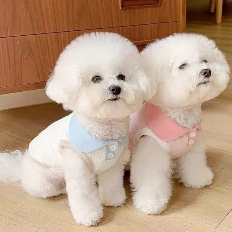 Summer Clothes for Dogs Puppy  - Summer Dog Clothing のレビューと価格