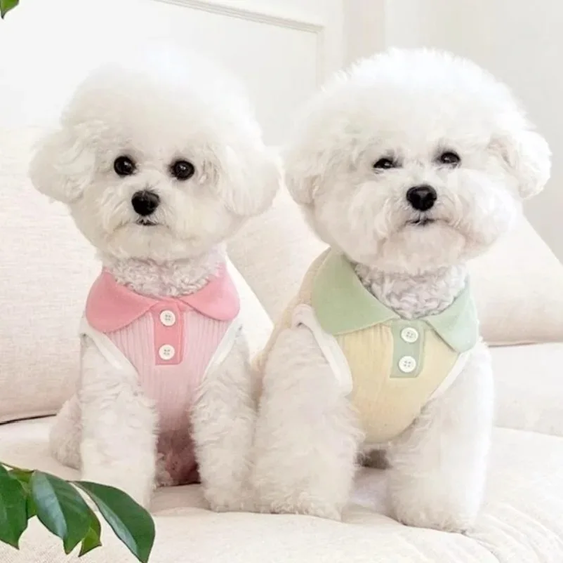 Summer Clothes for Dogs Puppy  - Summer Dog Clothing のレビューと価格