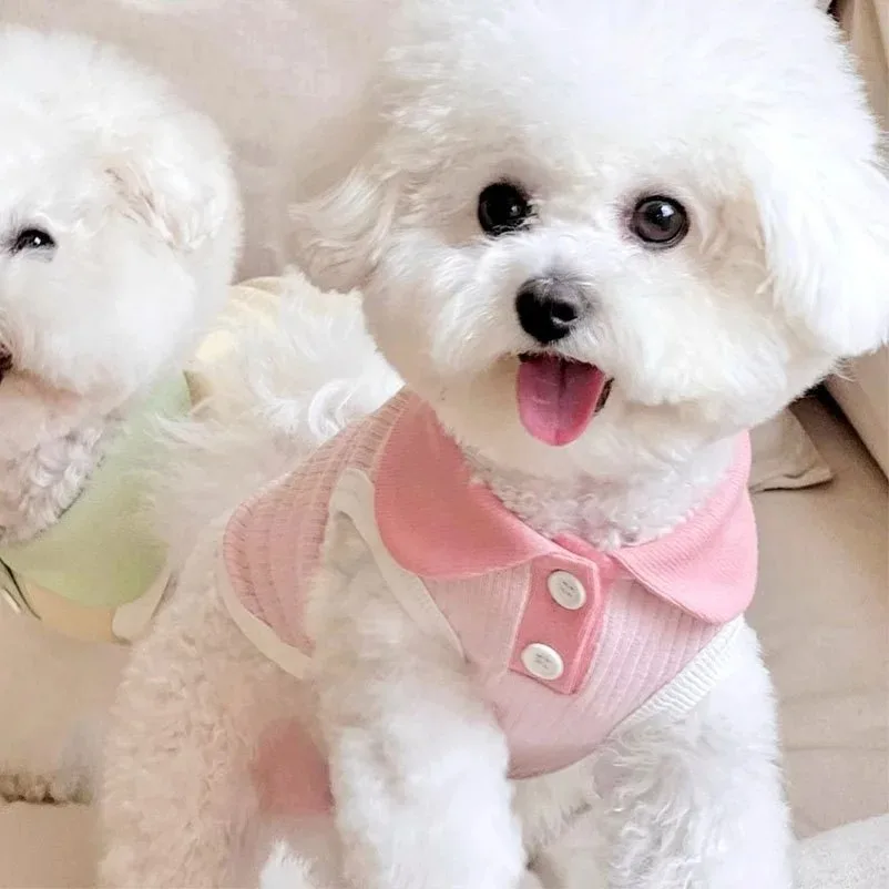 Summer Clothes for Dogs Puppy  - Summer Dog Clothing のレビューと価格