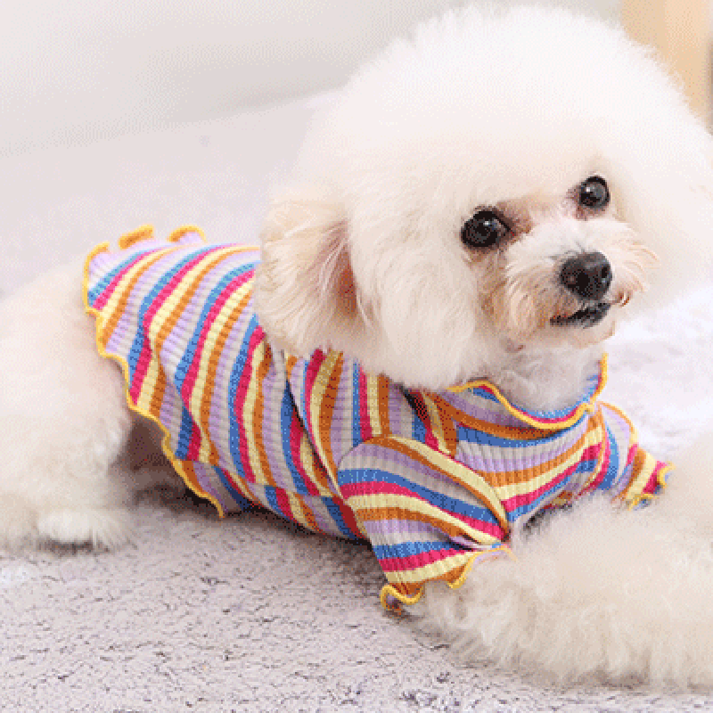 Pet Dog Clothes Puppy Vest T-s - Summer Dog Clothing のレビューと価格