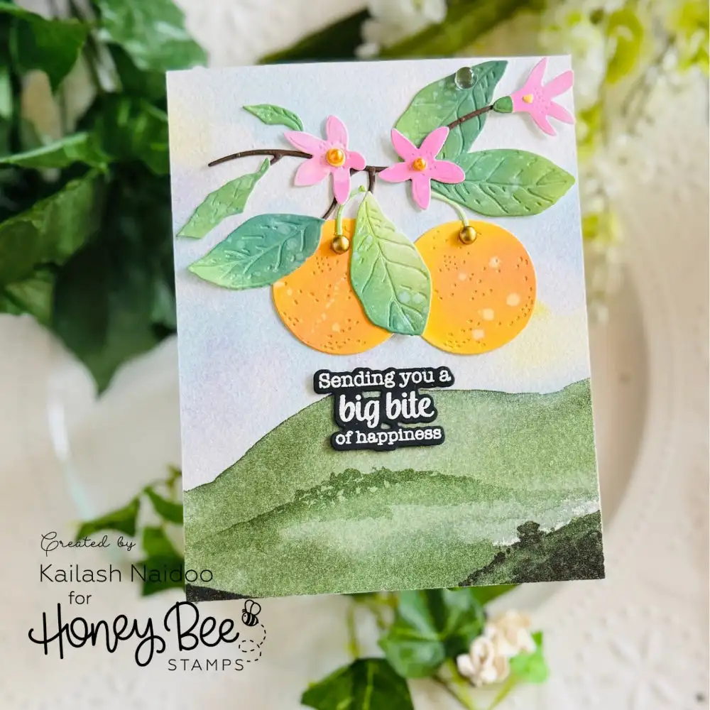July 2026 New Summer Backyard  - Summer Clothing Release のレビューと価格