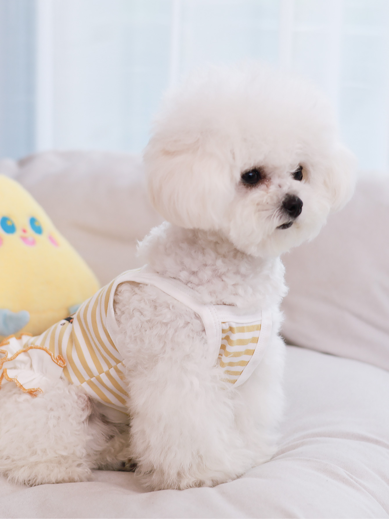 Dog vest, summer breathable th - Summer Clothing Material のレビューと価格