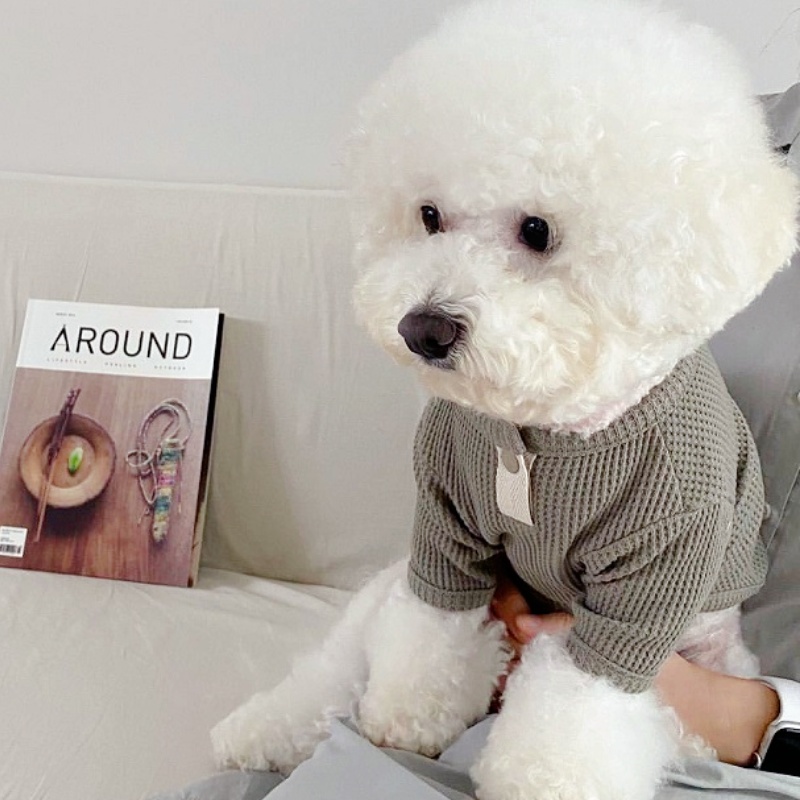 Summer Pet Shirt Solid Dog T-S - Summer Dog Clothing のレビューと価格