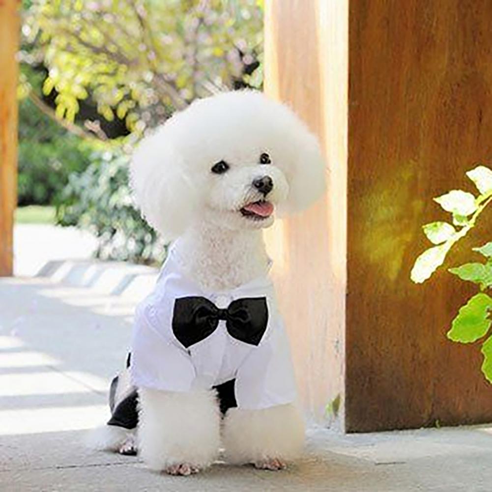 Dog Bow Tie Suit Tuxedo Costum - Summer Dog Clothing のレビューと価格