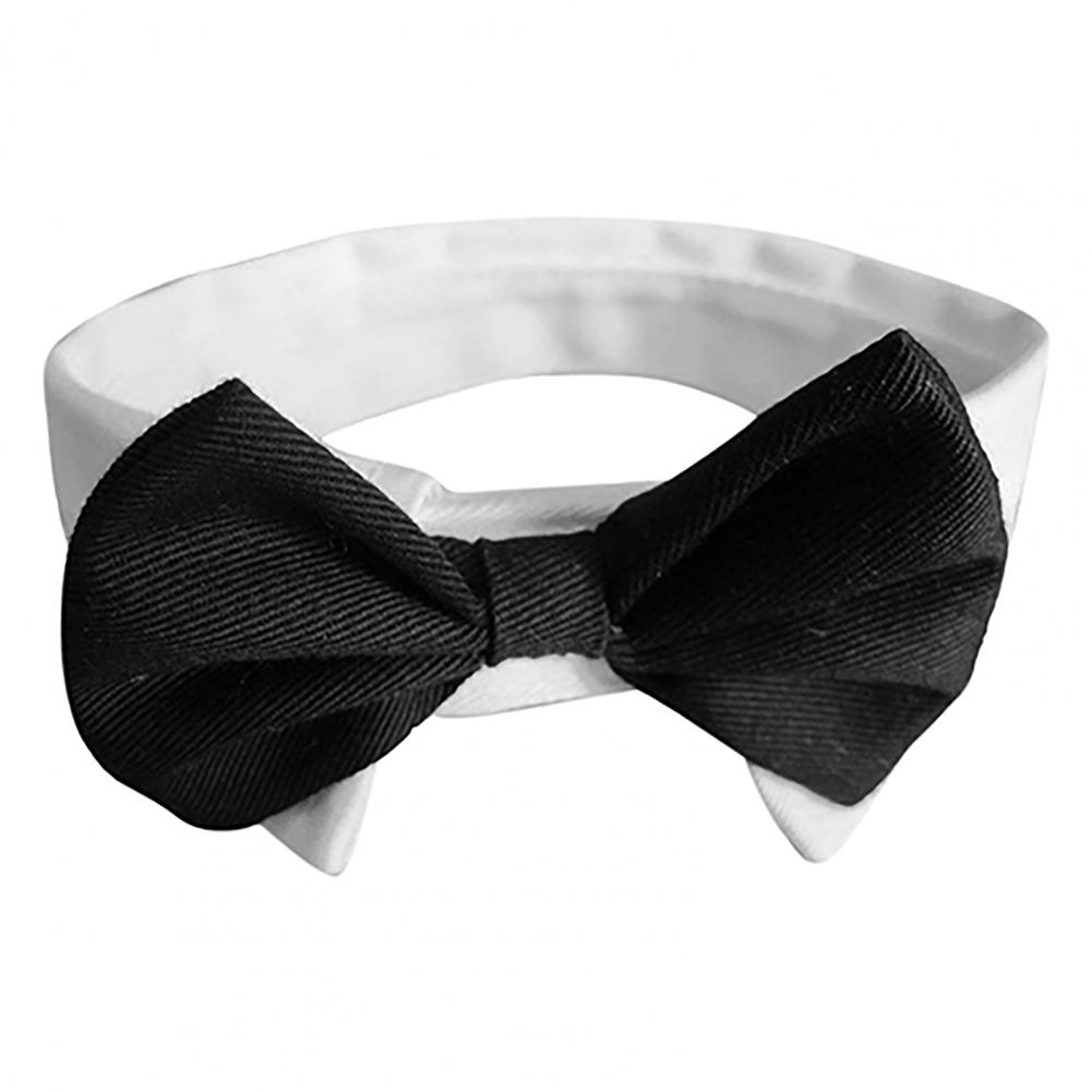 Dog Bow Tie Suit Tuxedo Costum - Summer Dog Clothing のレビューと価格